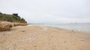 Plage et pont
